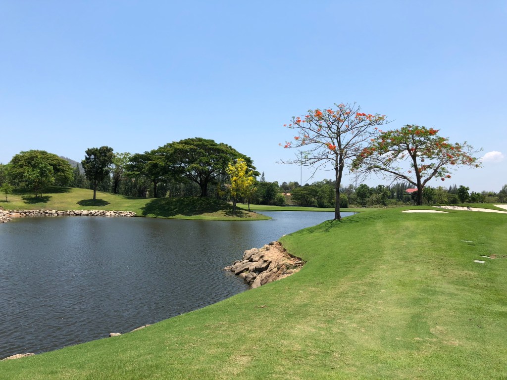 yQPrn8Y8Rmq5oWUJb72%GA