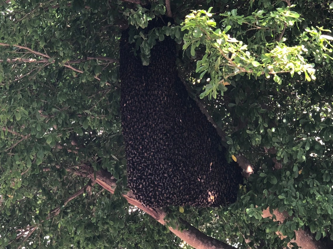 jozN9Z9kQAGagneyZvipPA