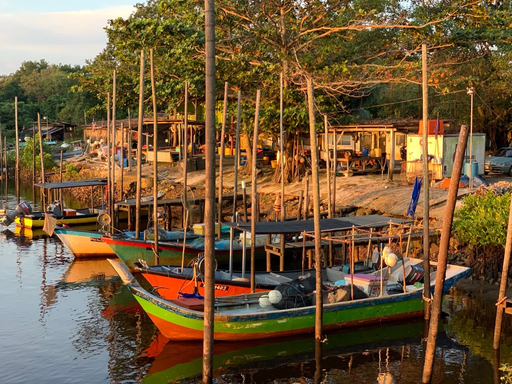 xtinfdutqpwmligbzycaka